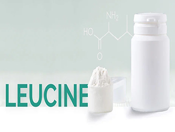 How To Take Leucine Powder,Leucine Powder Benefits